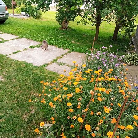 Lovas Vendeghaz Apartment Obanya ภายนอก รูปภาพ